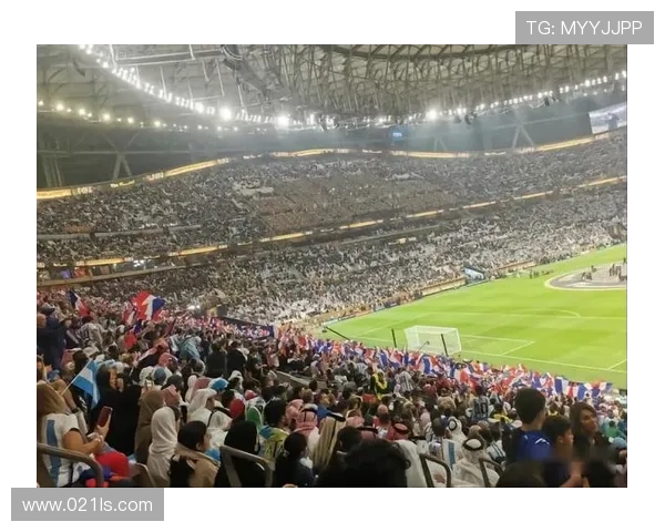 世界杯决赛门票涨至10990美元 球迷抢票遭遇困境